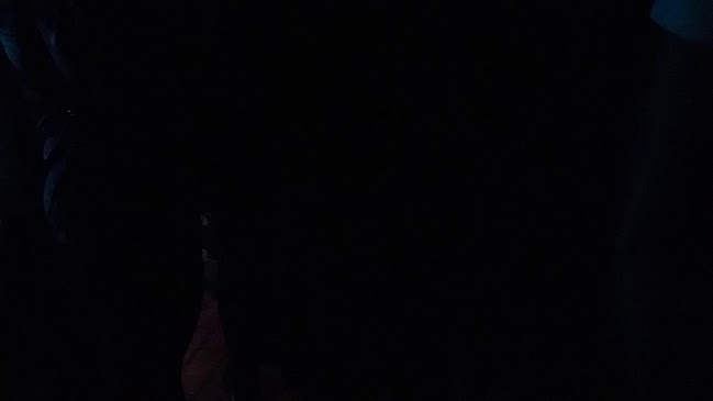 L'Elastic Bar - Restauration