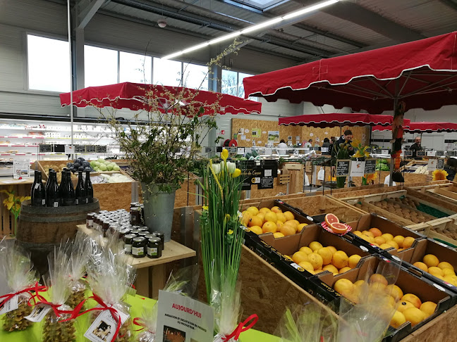 La Compagnie Fermière Mérignac - Mérignac