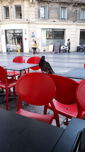 Comentarii opinii despre Nabab Kebab (Montpellier)
