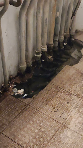 Comentarii opinii despre Diana food house