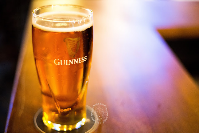 Comentarii opinii despre The Black Lion