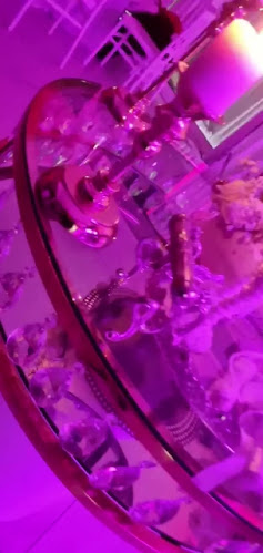 Opinii despre Etoile du Nord, ATC Events în Roubaix - Restauration