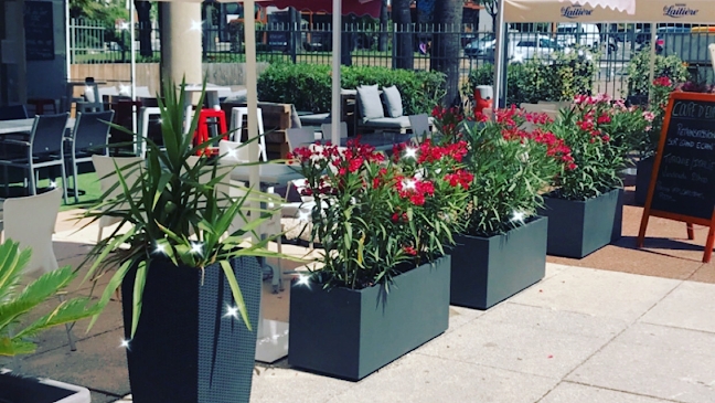 Café Restaurant Le 55 Avenue - Restauration