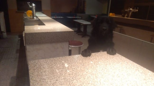 Comentarii opinii despre Brasserie du Rond Point