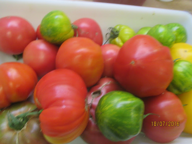 Comentarii opinii despre L'Ail des ours Angers