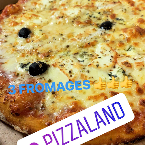 Comentarii opinii despre PIZZALAND