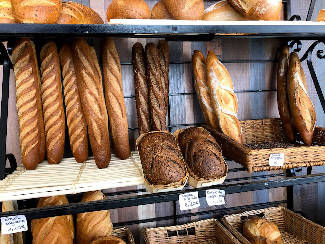 Comentarii opinii despre Nouara