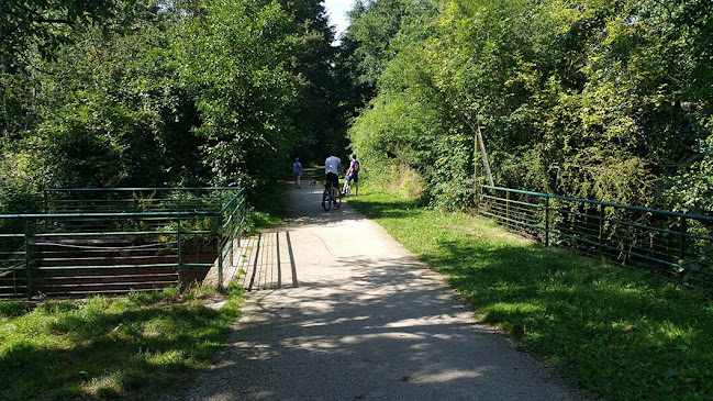 Comentarii opinii despre Le Domaine du Faux Rieux