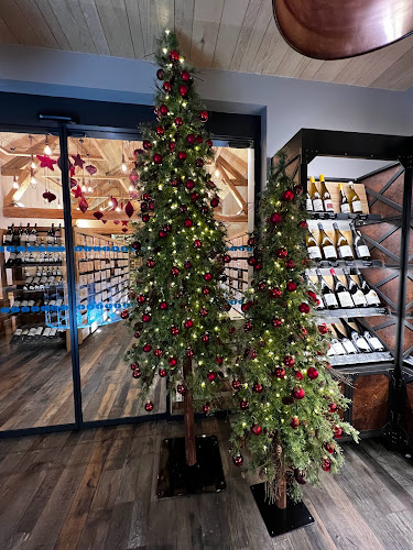 Comentarii opinii despre Les Caves Lamottoises