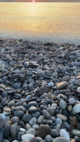Fleur de Lotus - Cagnes-sur-Mer