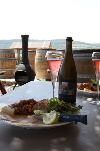 Domaine Miolanne - Vignoble & Bar à vin éphémère - Clermont-Ferrand