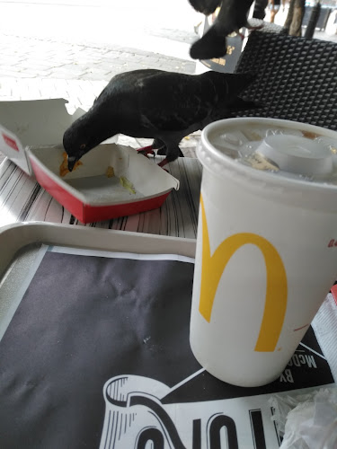 Place, 4 Rue Félix Poulat, 38000 Grenoble, France