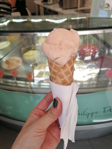 Comentarii opinii despre Philippe Faur