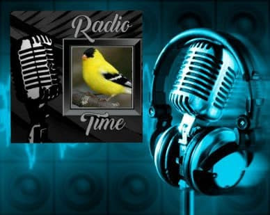 LBL kail loiseau rare