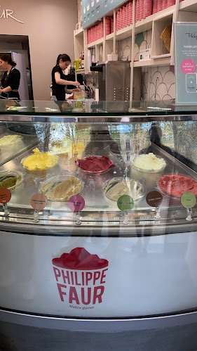 Comentarii opinii despre Philippe Faur