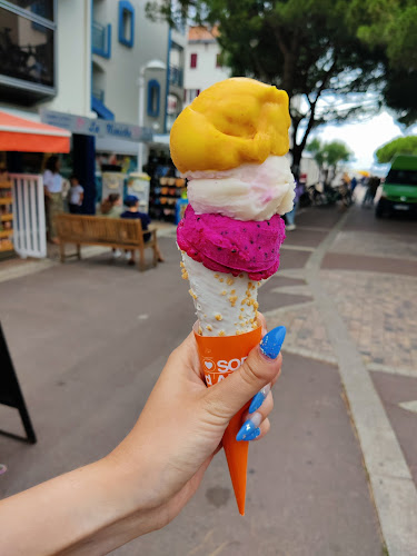 Comentarii opinii despre Ô Sorbet d'Amour