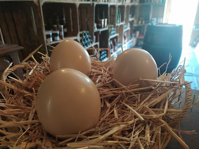 dans l'impasse, 18 Rue Condorcet 2ème portail a gauche, 10600 La Chapelle-Saint-Luc