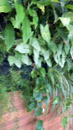 Opinii despre la Potinière - Salon de Thé în Aix-les-Bains - Restauration