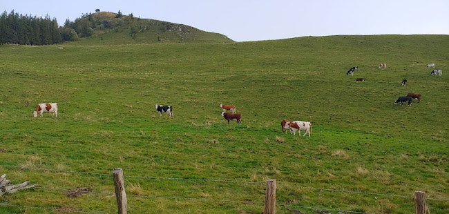 Domaine Miolanne - Vignoble & Bar à vin éphémère - Restauration