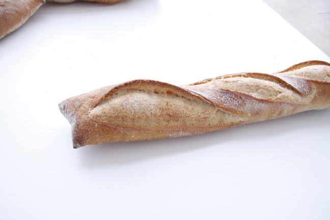 Comentarii opinii despre Sophie Lebreuilly