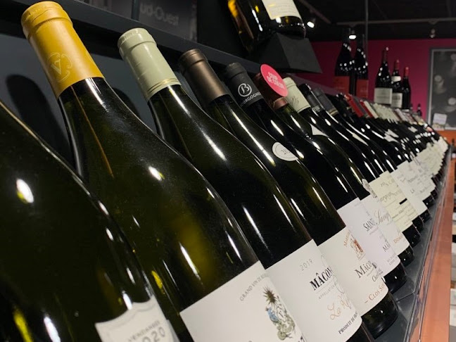 Comentarii opinii despre Intercaves Le Mans