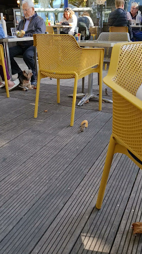 Comentarii opinii despre Brasserie Le Skiff