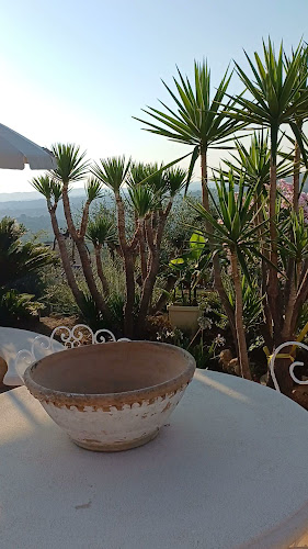 Le vin de basilic du Tignet