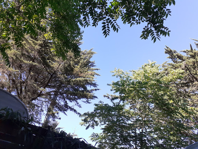 133 Av. Gambetta, 17300 Rochefort