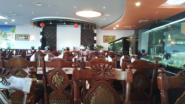 450 Rte du N, 82000 Montauban