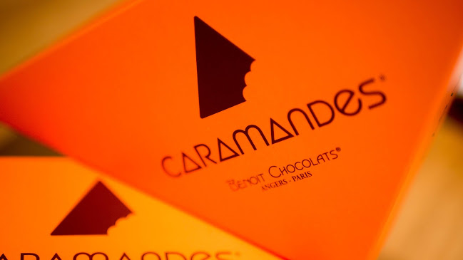 87 Bd Saint-Symphorien, 57050 Longeville-lès-Metz