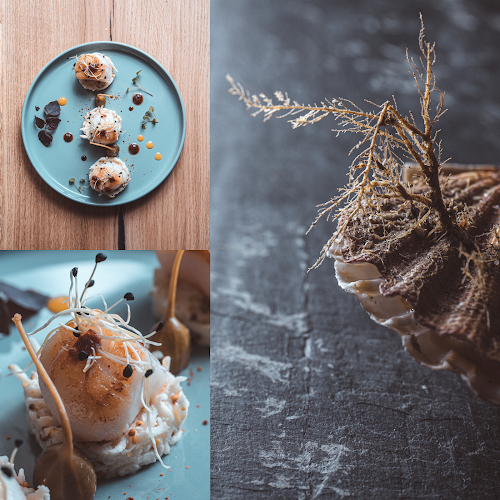 377 Rue du Bourg, 40180 Oeyreluy