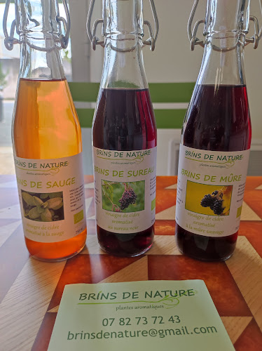 Mangeons bocal - Albi