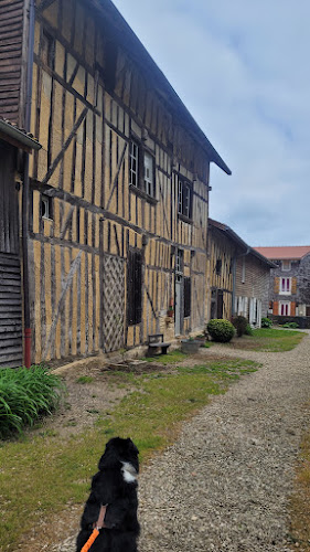 La Bonne Marmite - Restauration