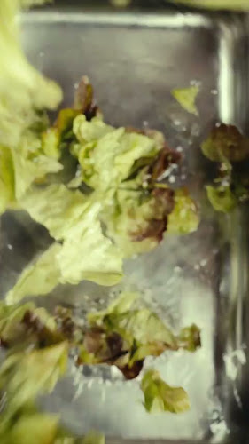 Opinii despre Courtepaille în Auch - Restauration