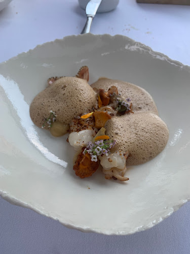 L'Oiseau Bleu - Bordeaux