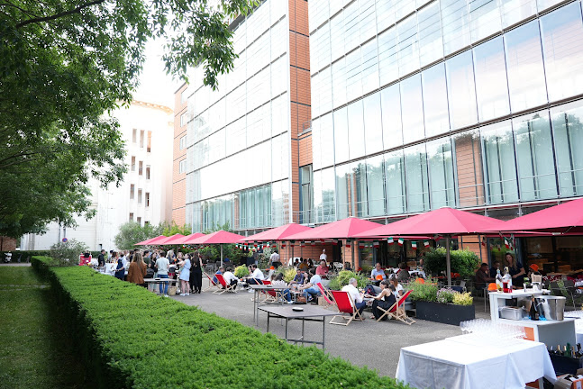 Zucca - Caluire-et-Cuire