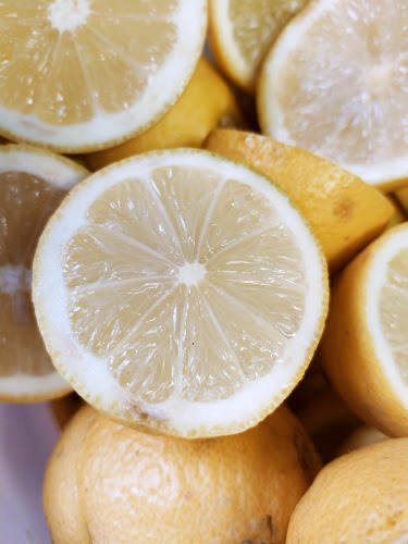 Comentarii opinii despre Gelati Ghizzoni