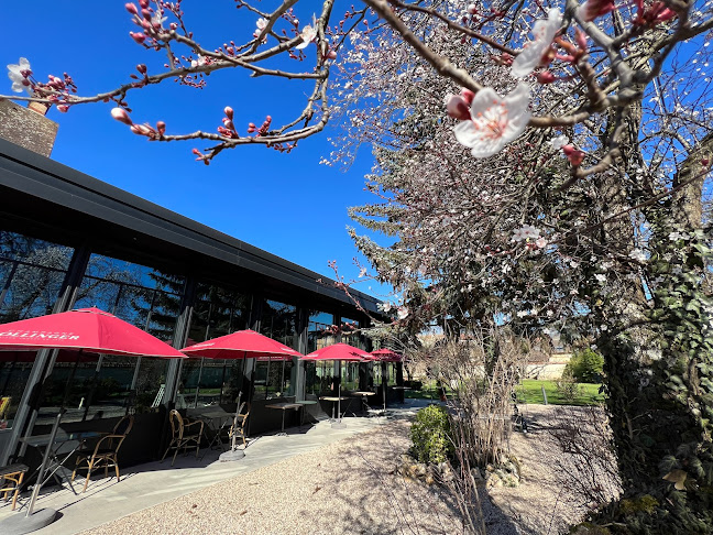 Rotisserie Henri IV - Aÿ-Champagne