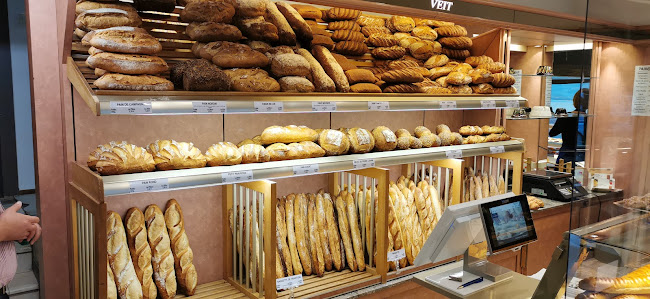 Opinii despre Boulangerie pâtisseries KIEFFER în Strasbourg - Restauration