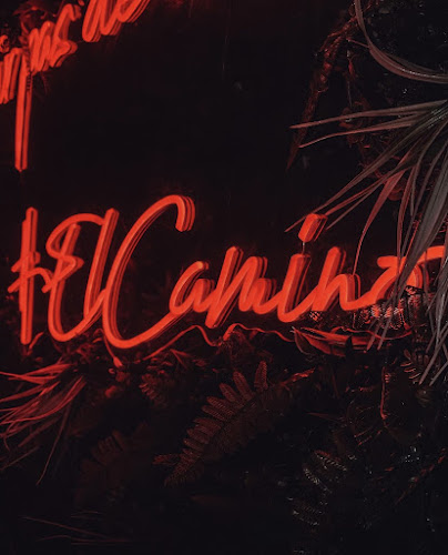 Opinii despre El Camino de Cuba în Saint-Raphaël - Restauration