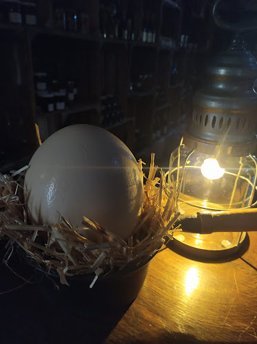 Comentarii opinii despre La Cabane du Trappeur 10