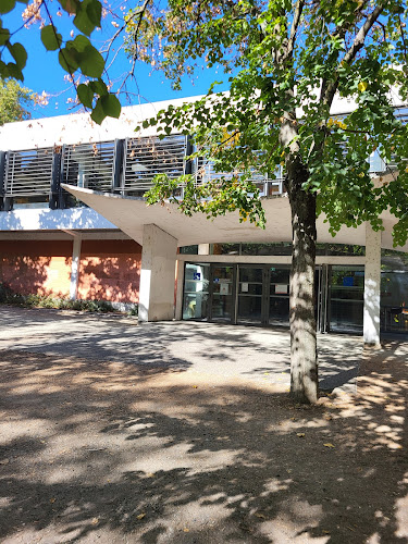 Comentarii opinii despre Resto U' l'Arsenal