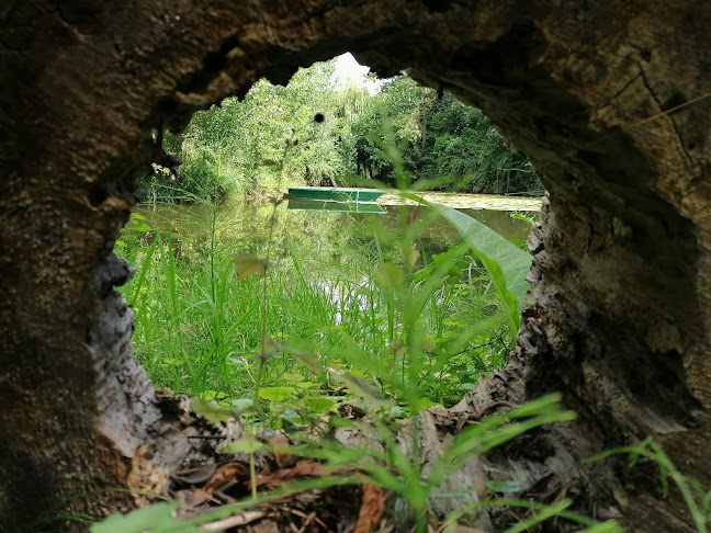 Comentarii opinii despre Food truck - La Gourmande