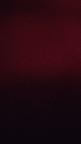 Le Cirkus - Brasserie/restaurant - Restauration