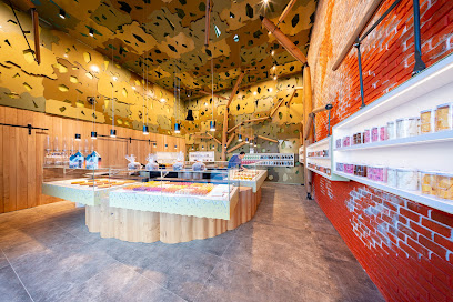 Thierry Bamas - Docks de Biarritz