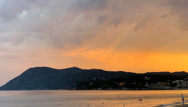 El Pacha - Restauration