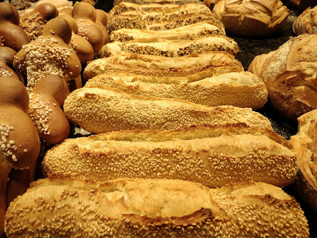 Pilaterie parc, 3 Rue de la Ladrié, 59290 Wasquehal