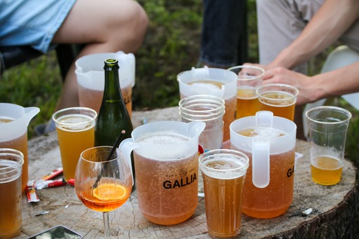 Le Robinson - Millau