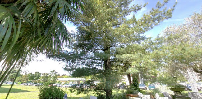 Arcadius Ristorante, 3 Chem. des Cytises, 69340 Francheville