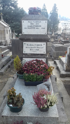 Comentarii opinii despre Le Moulin des Pains